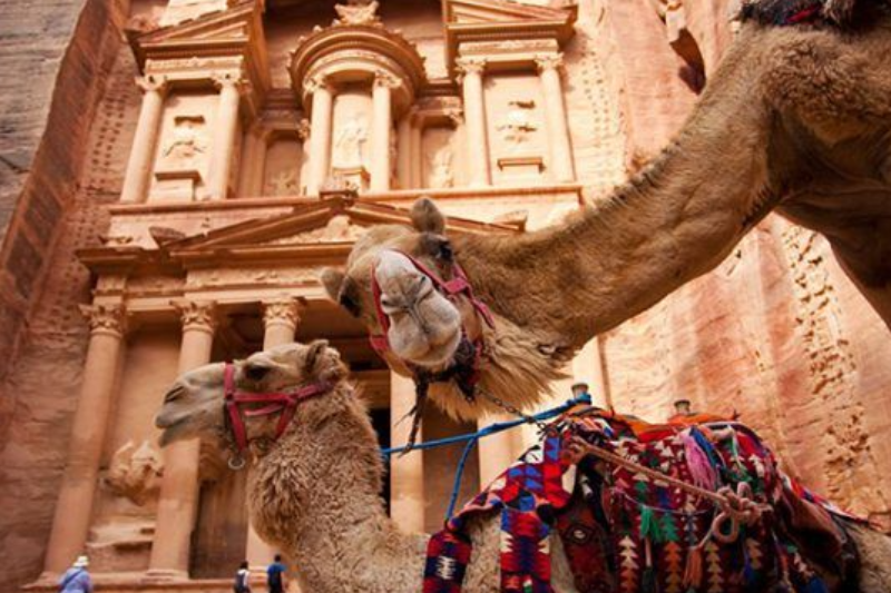 Petra – Amman
