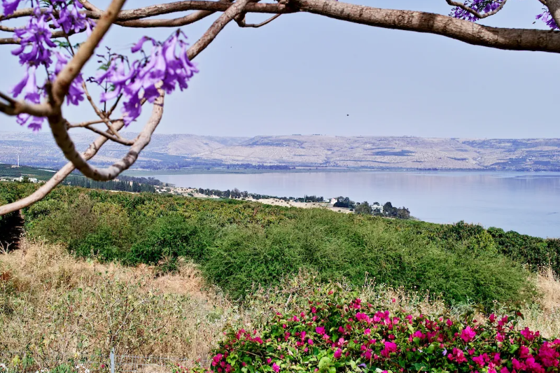 Arrival Tel Aviv – Transfer to Galilee